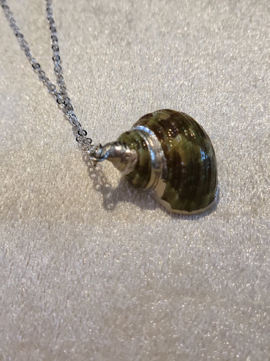 Turban shell necklace, sterling silver chain, 19-inch length